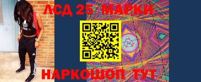 шишки Тара