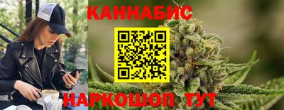 шишки Тара