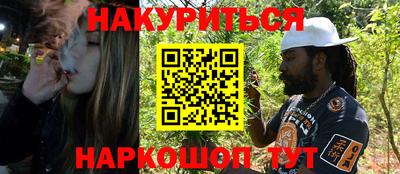 шишки Тара