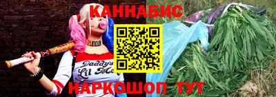 шишки Тара