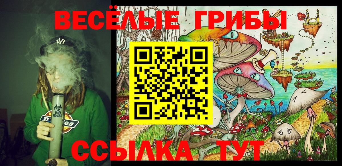 Галлюциногенные грибы прущие грибы Норильск