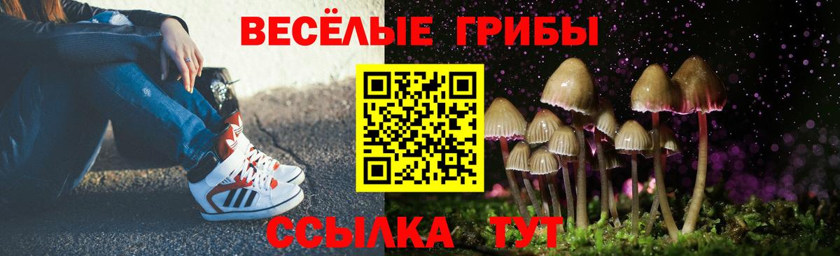 Псилоцибиновые грибы мицелий  Галлюциногенные грибы Psilocybine cubensis  Норильск  Вход с VPN 